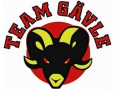Team G&auml;vle
